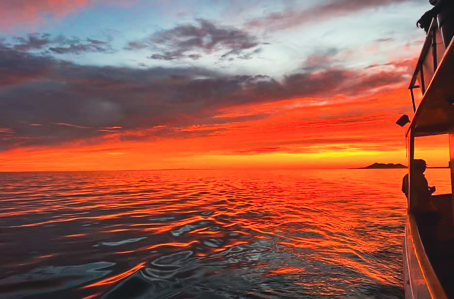 Sport fishing Sea of Cortez