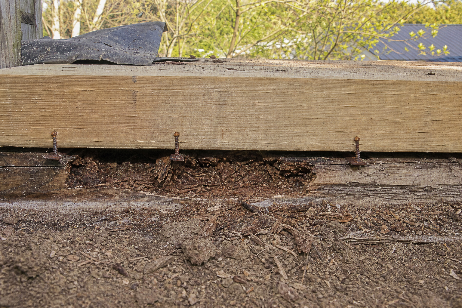 A rotted deck joist hidden under a new board with rusted fasteners