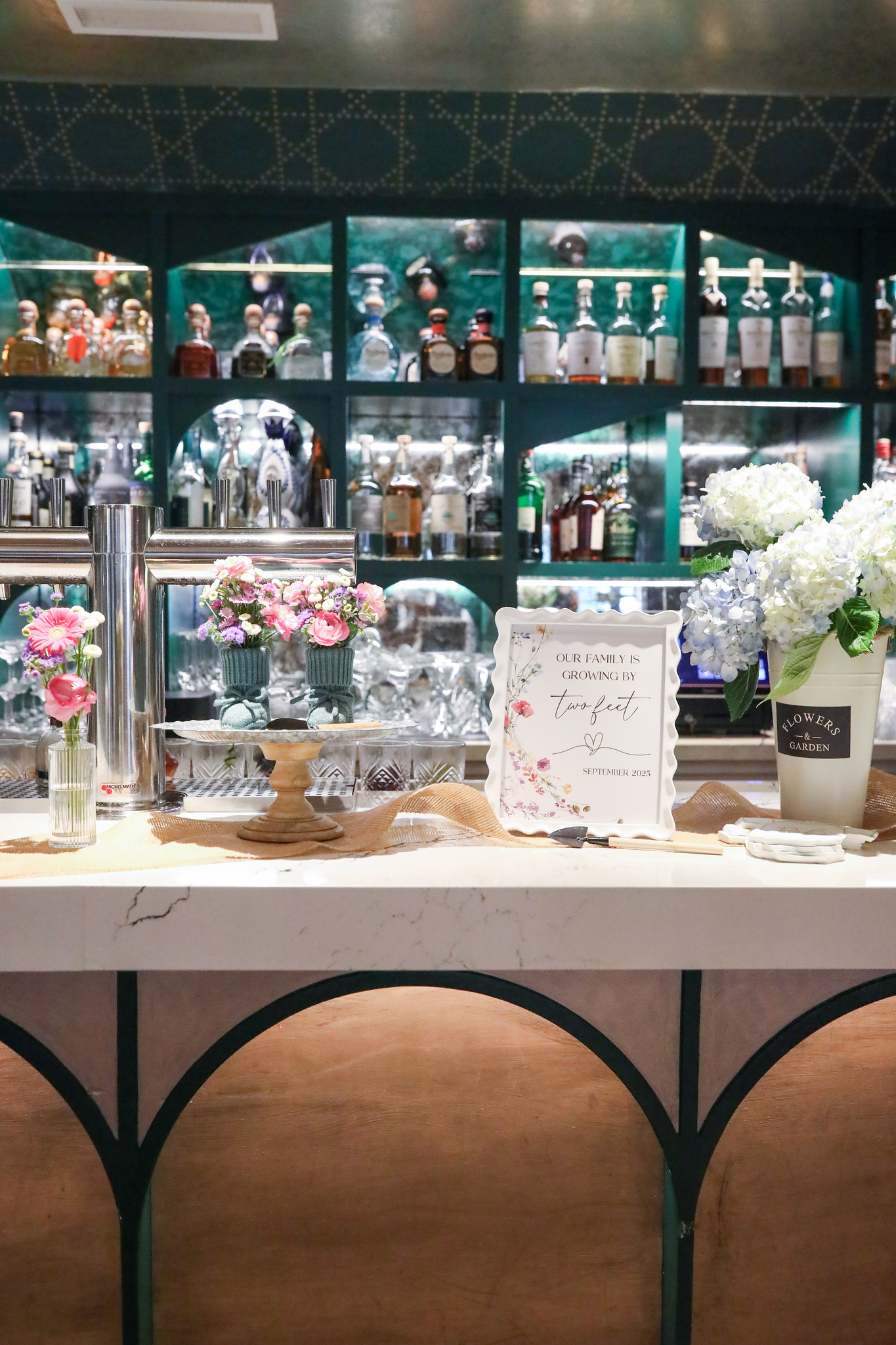 Our Family is Growing Baby Shower