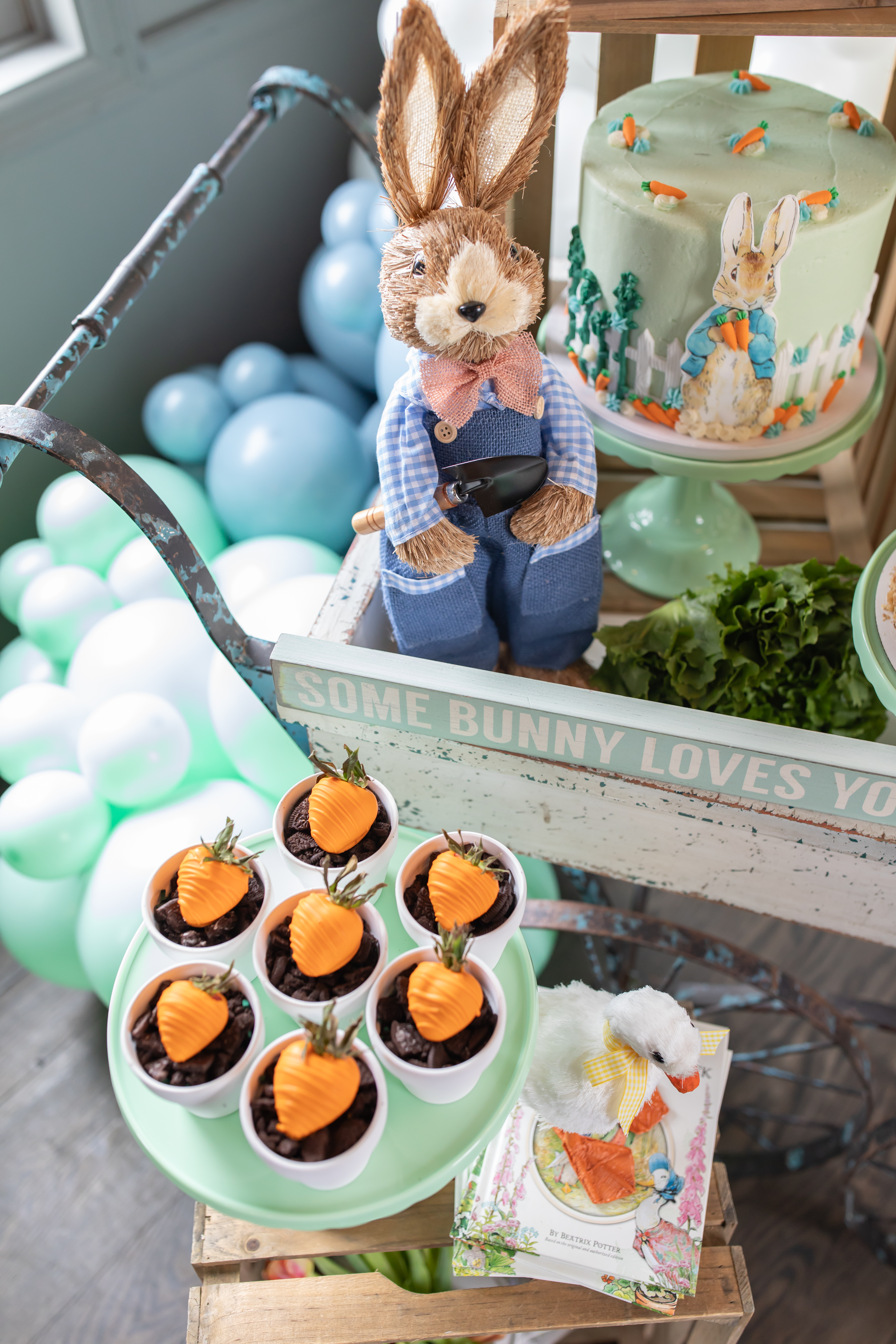 Peter Rabbit Baby Shower
