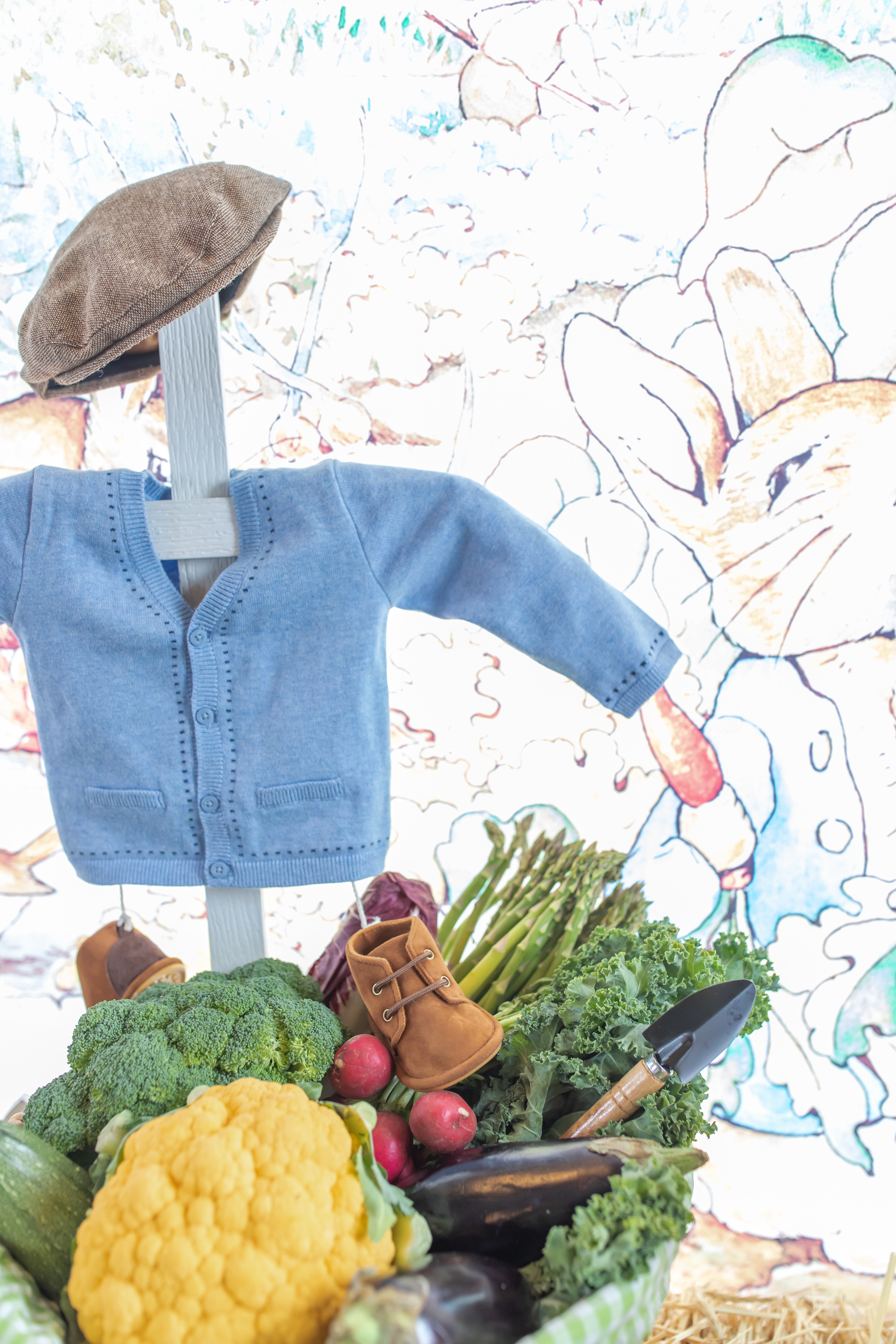 Peter Rabbit Baby Shower