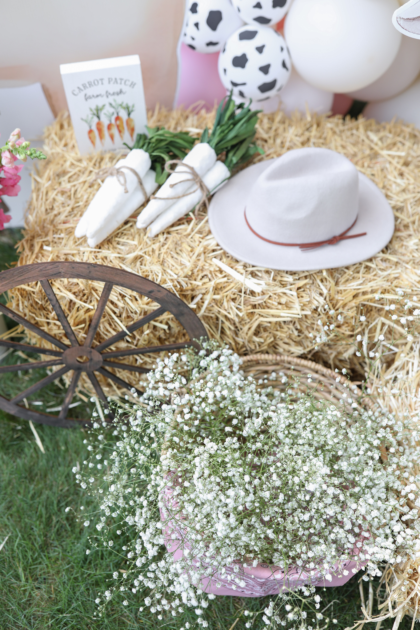 Love Shack Fancy Farm