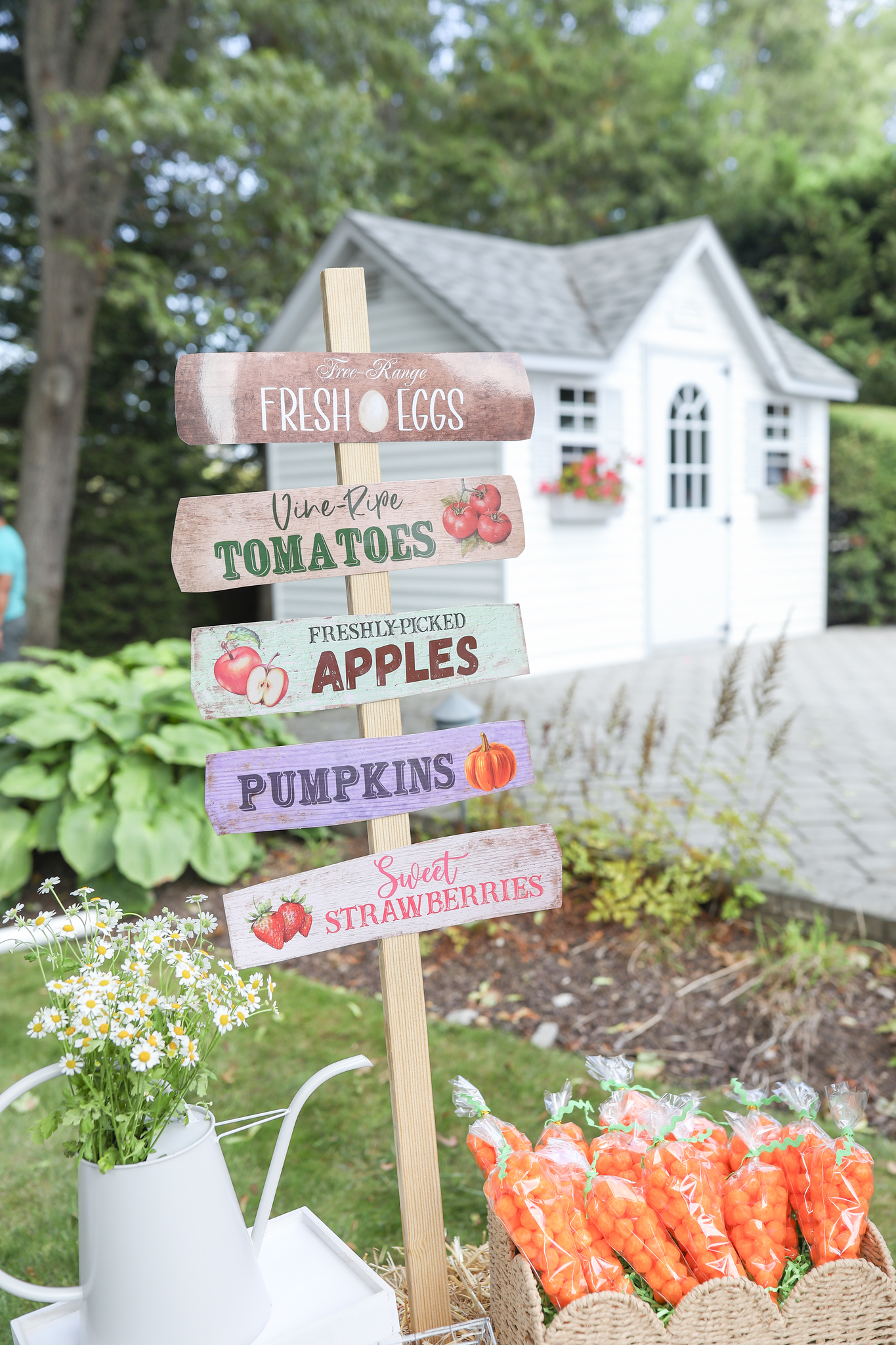 Love Shack Fancy Farm