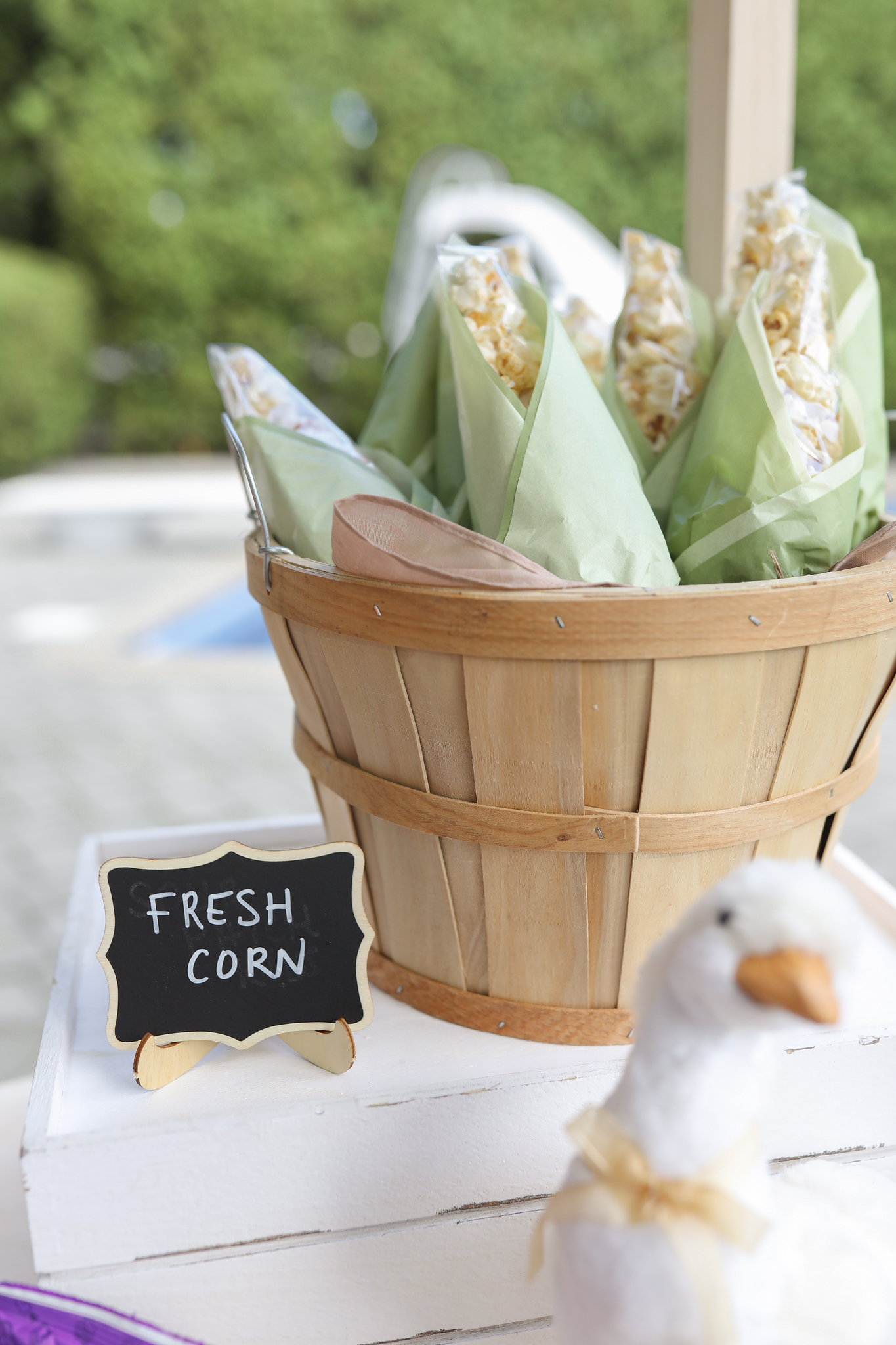 Love Shack Fancy Farm