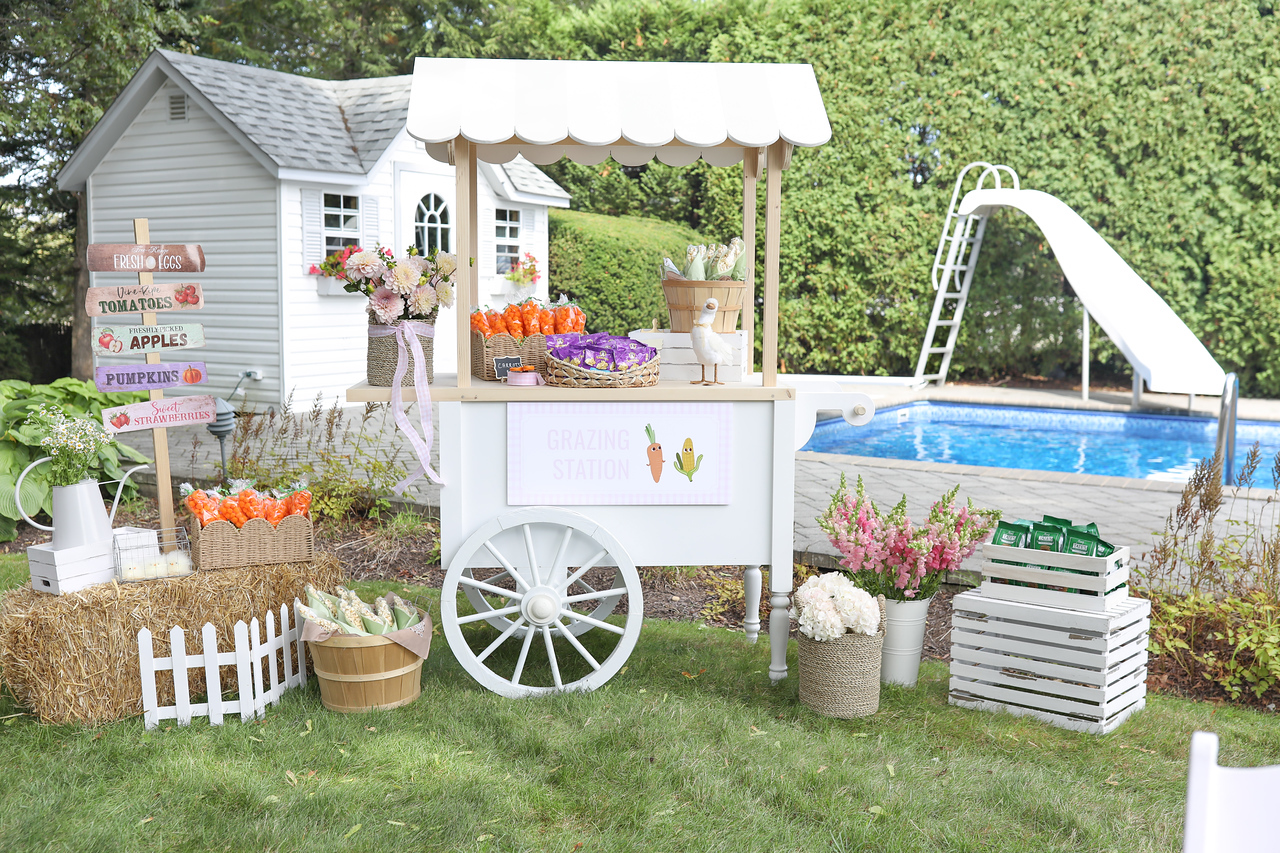 Love Shack Fancy Farm