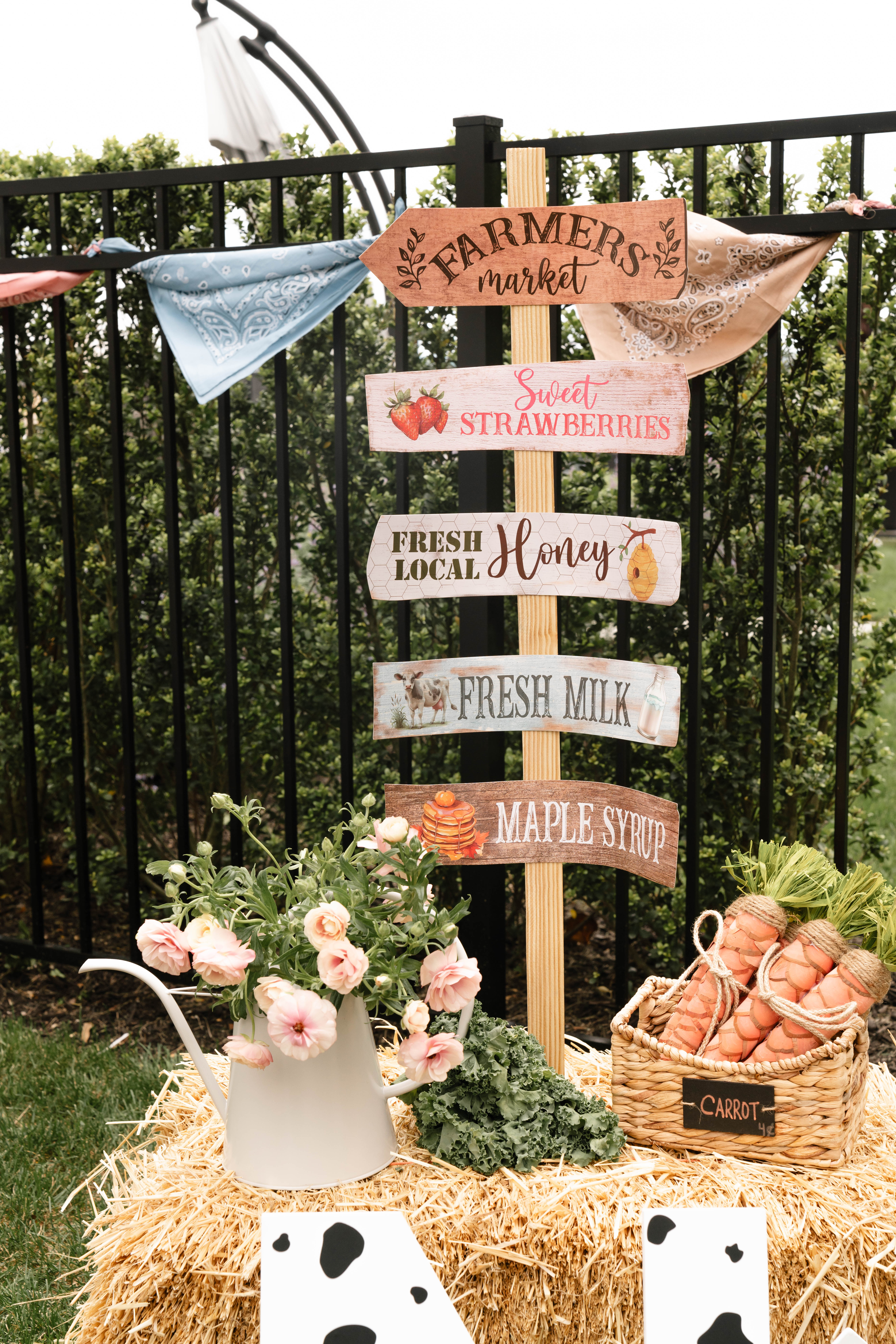 Mila and Gabriel Farmhouse Birthday