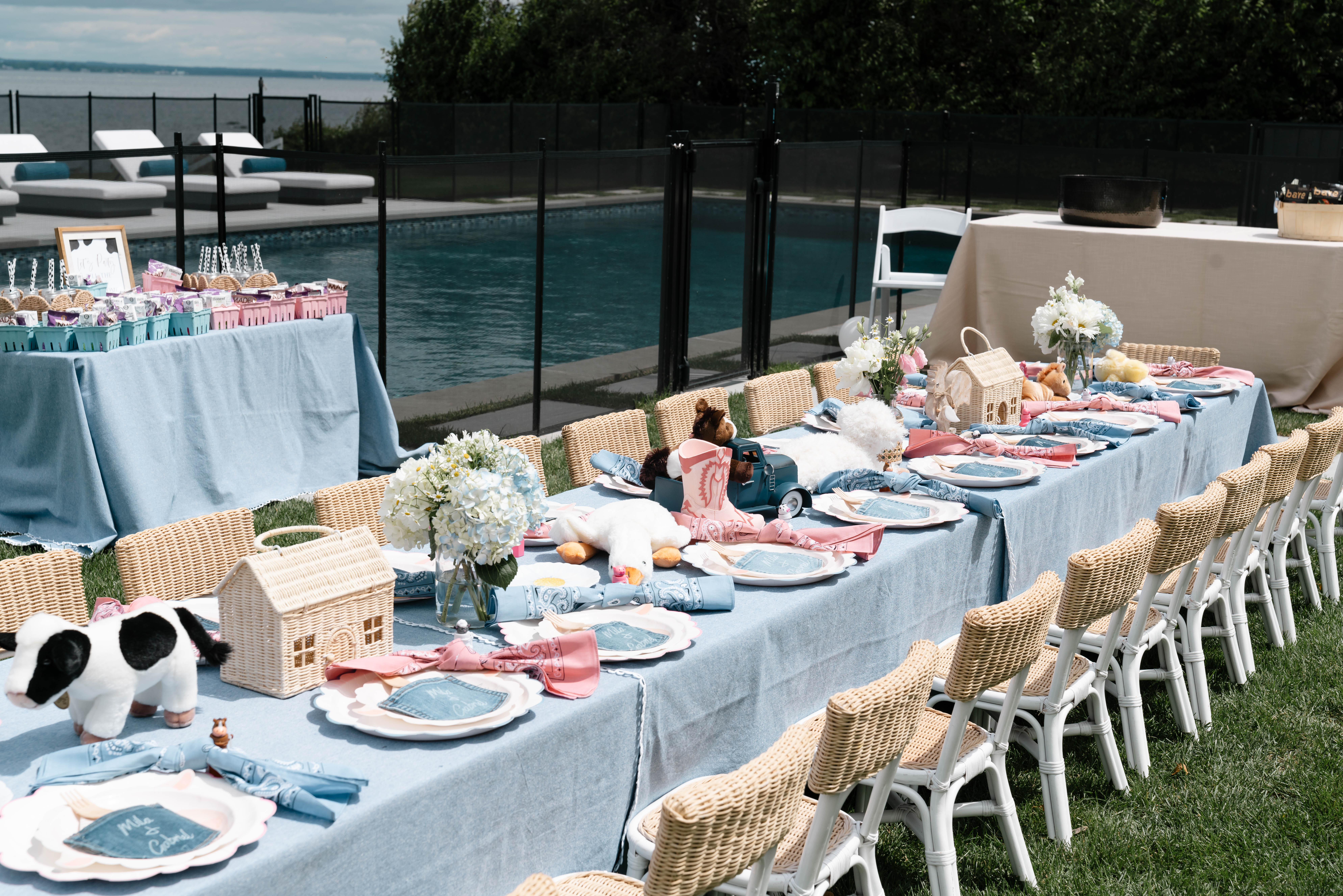 Mila and Gabriel Farmhouse Birthday