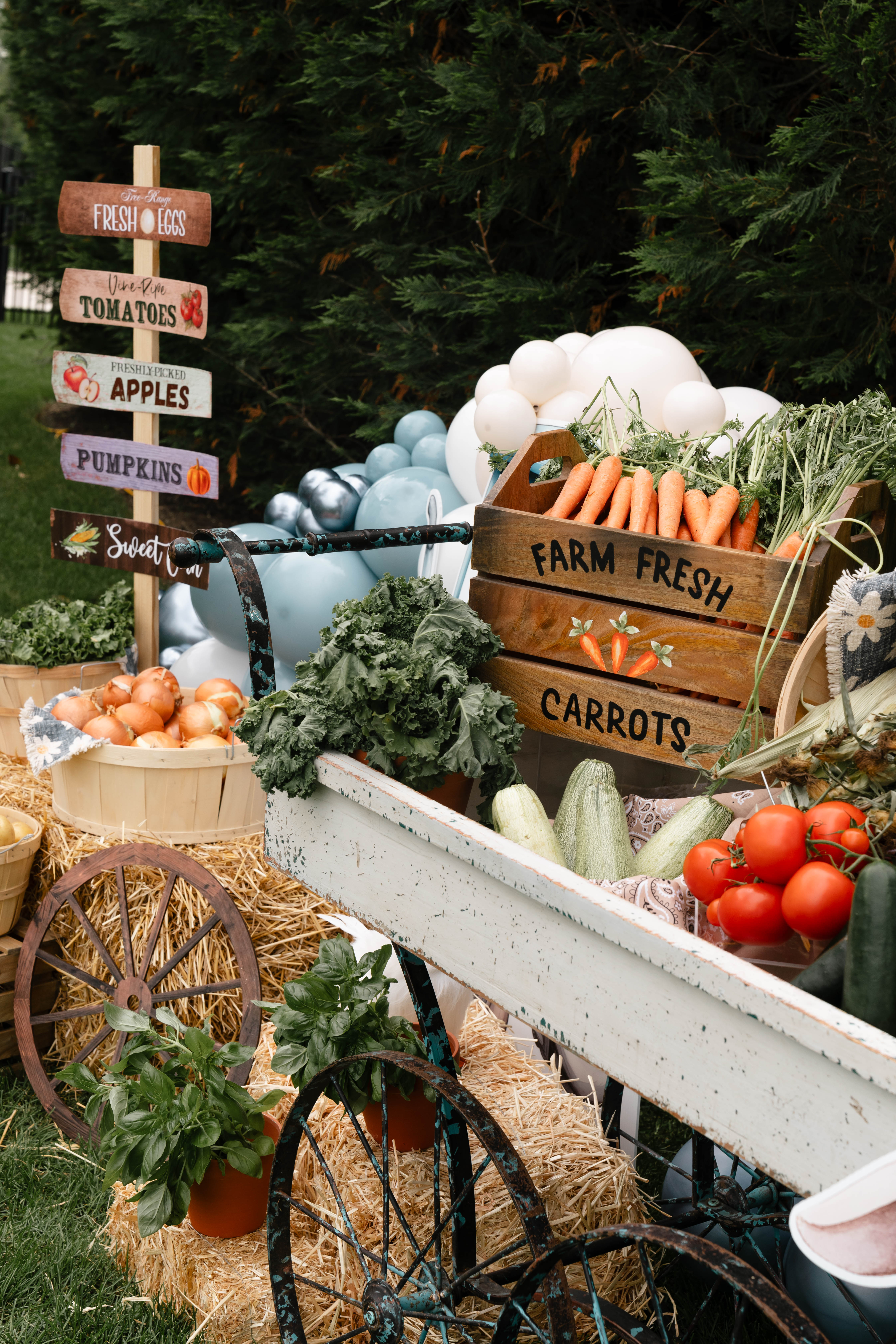 Mila and Gabriel Farmhouse Birthday