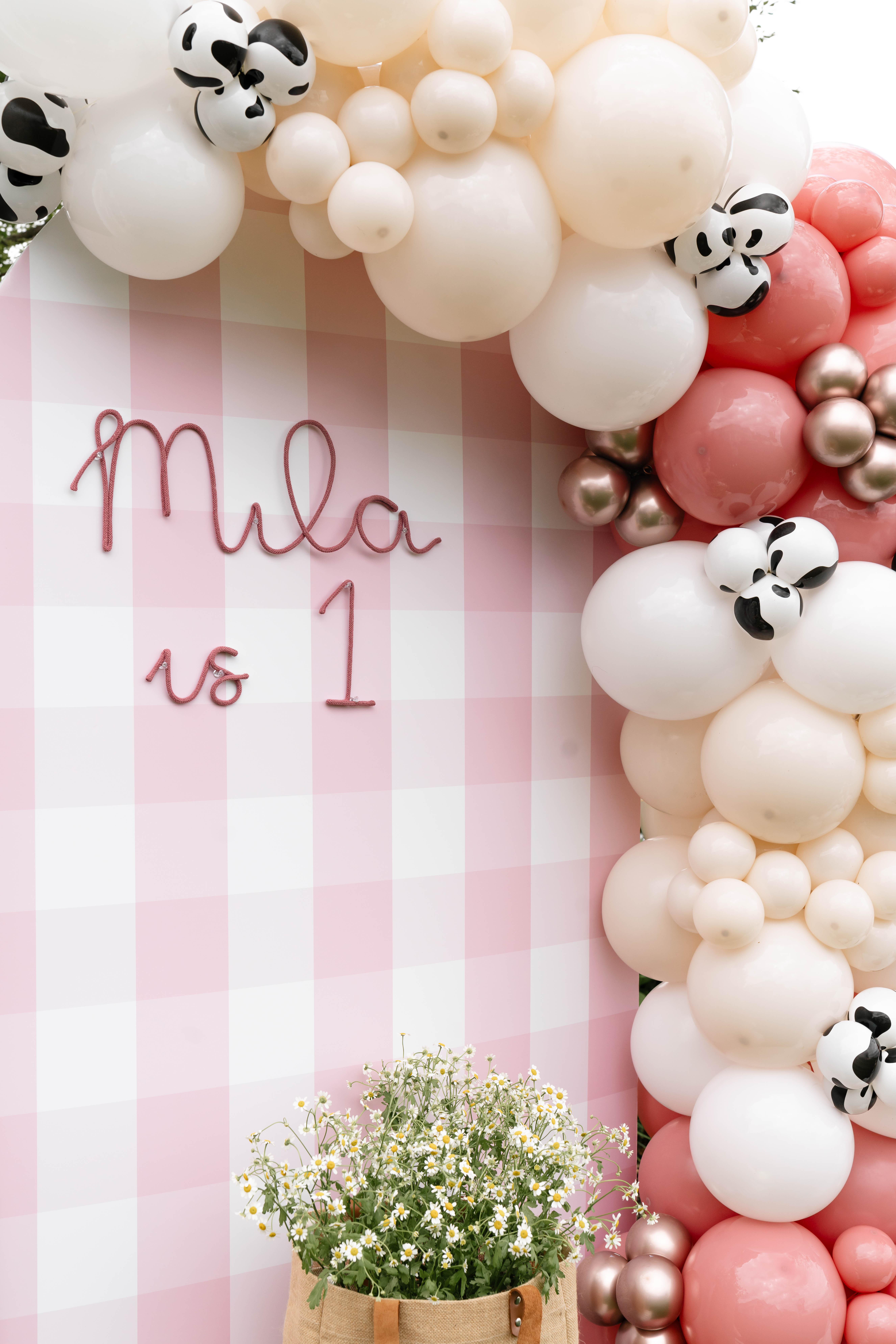 Mila and Gabriel Farmhouse Birthday