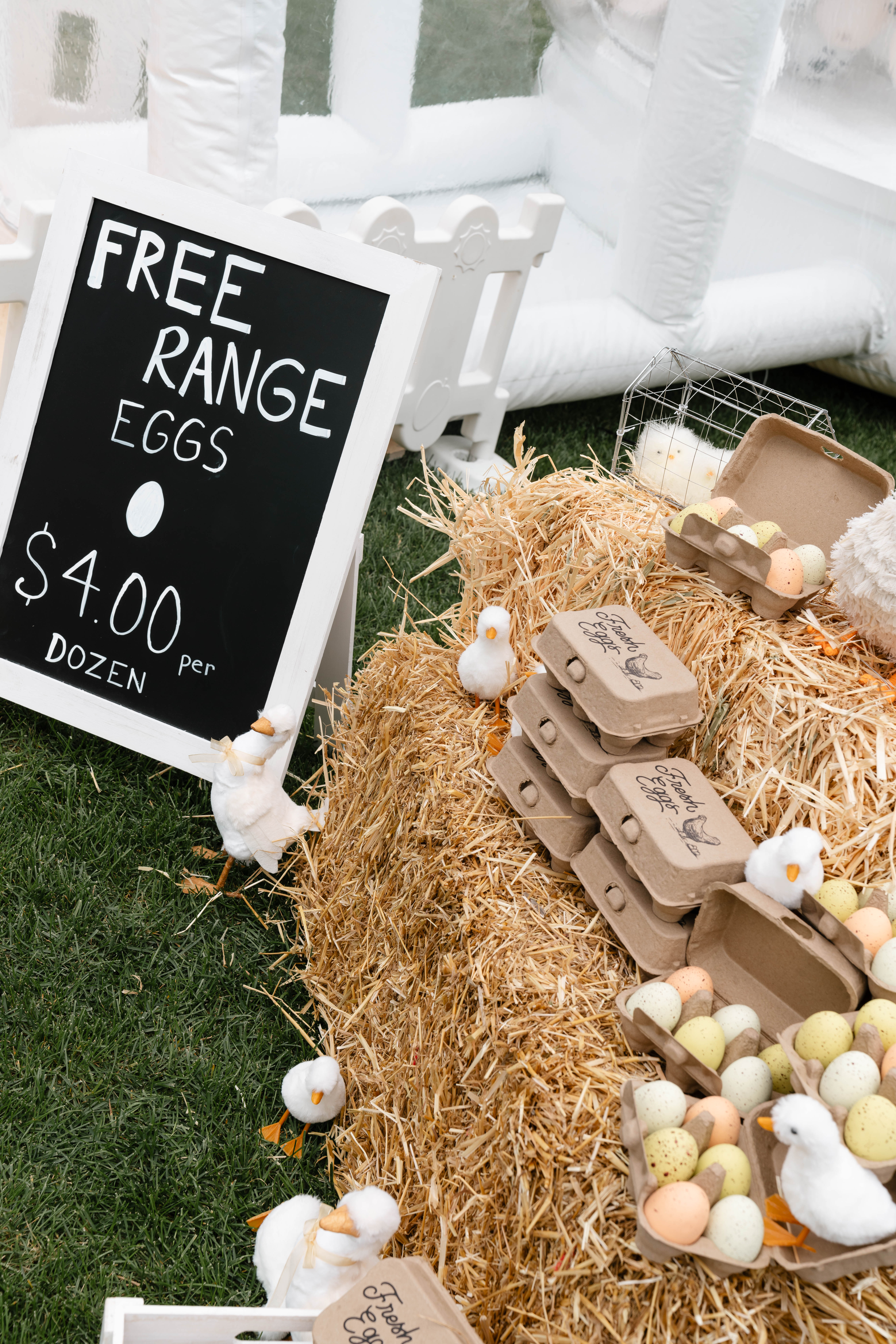 Mila and Gabriel Farmhouse Birthday