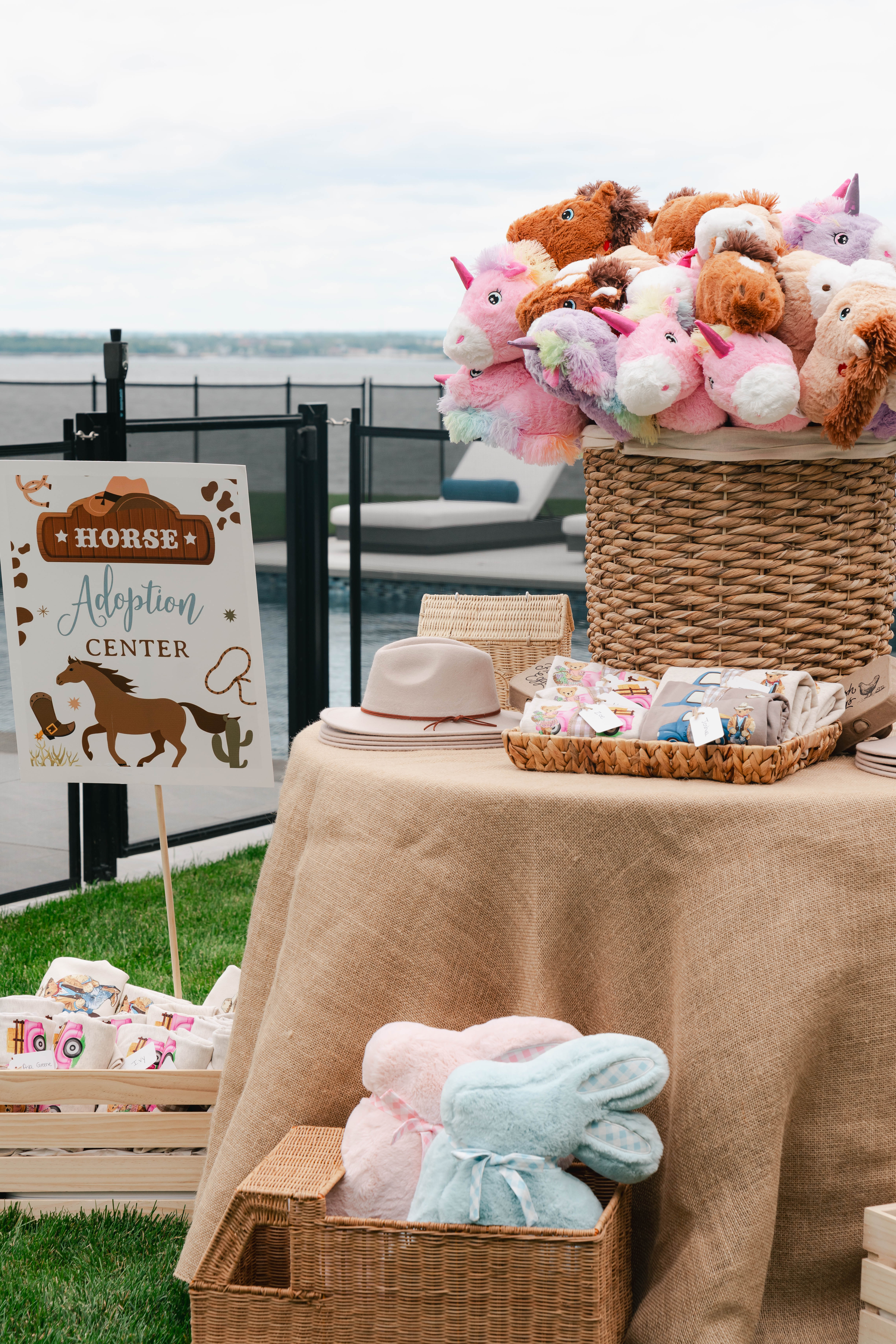 Mila and Gabriel Farmhouse Birthday