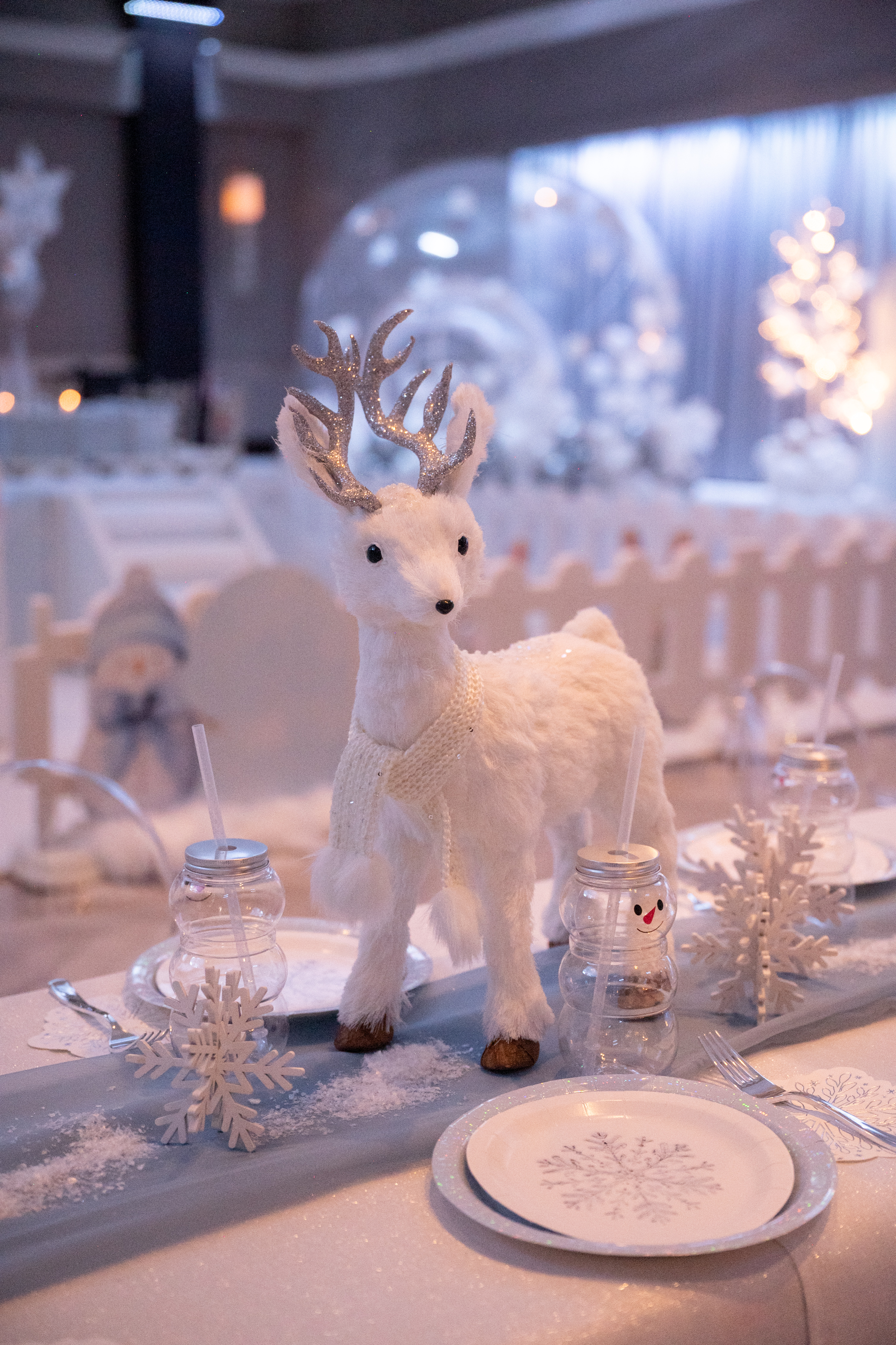 Winter Wonderland Birthday