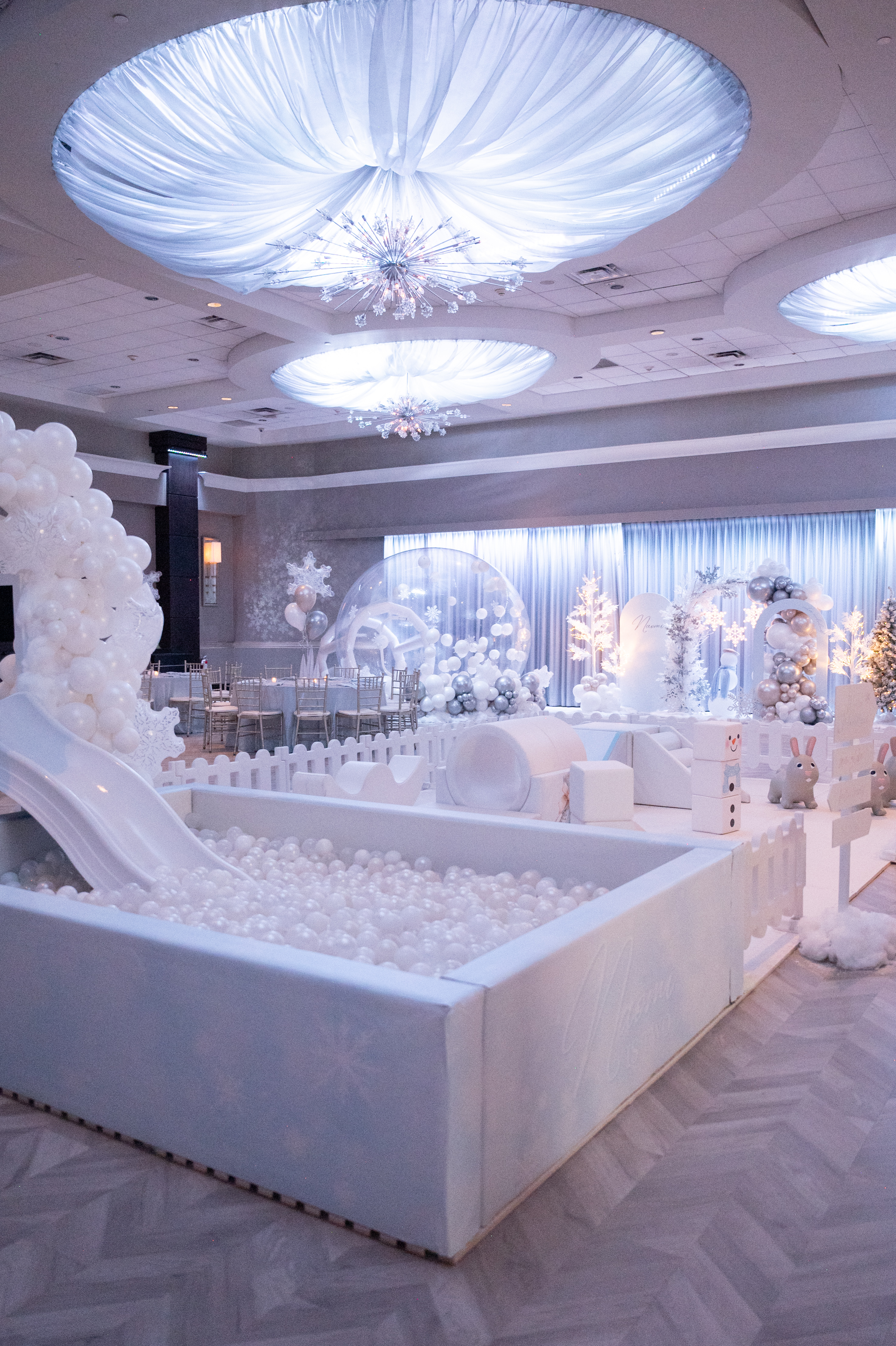 Winter Wonderland Birthday