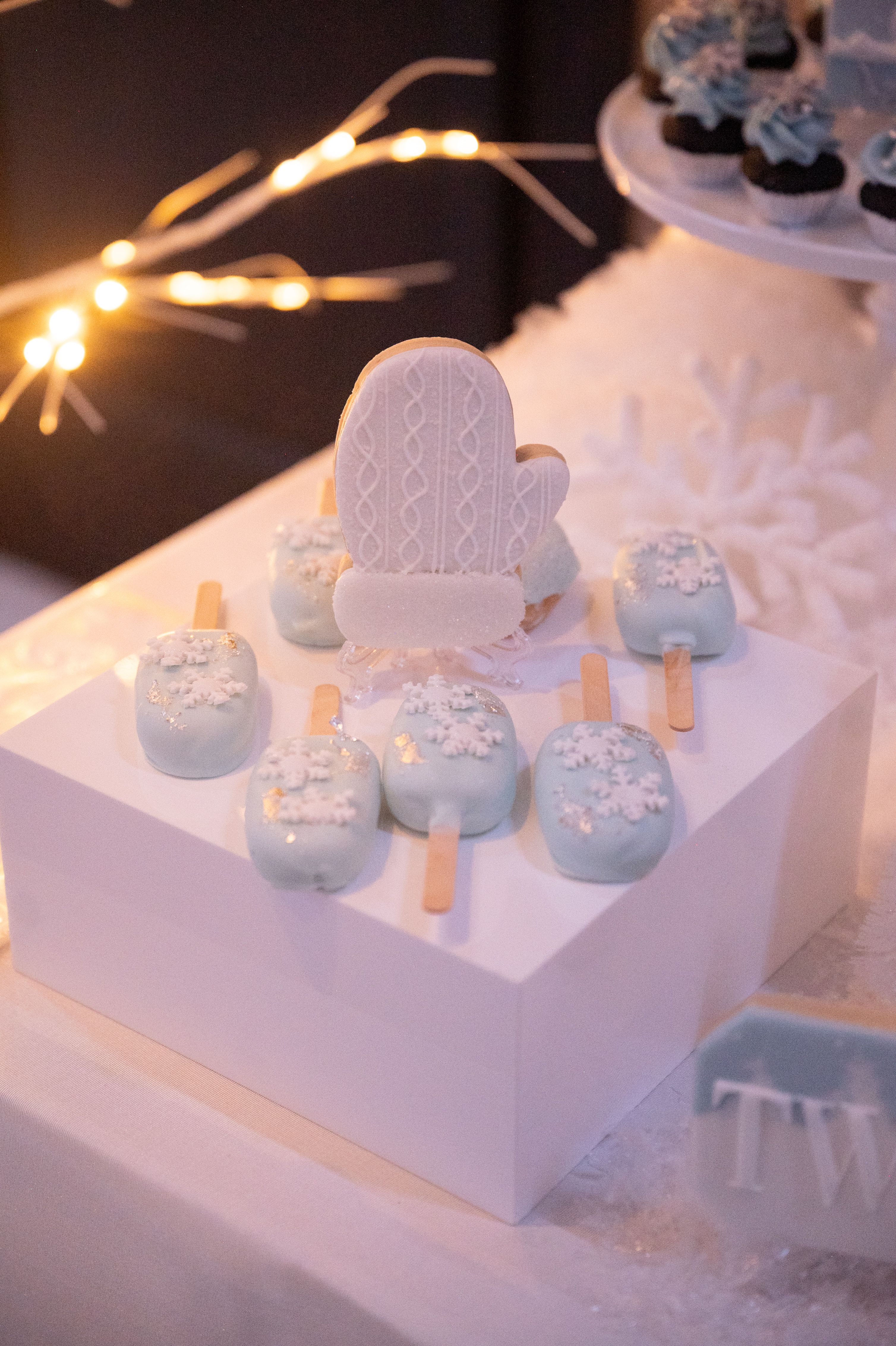 Winter Wonderland Birthday