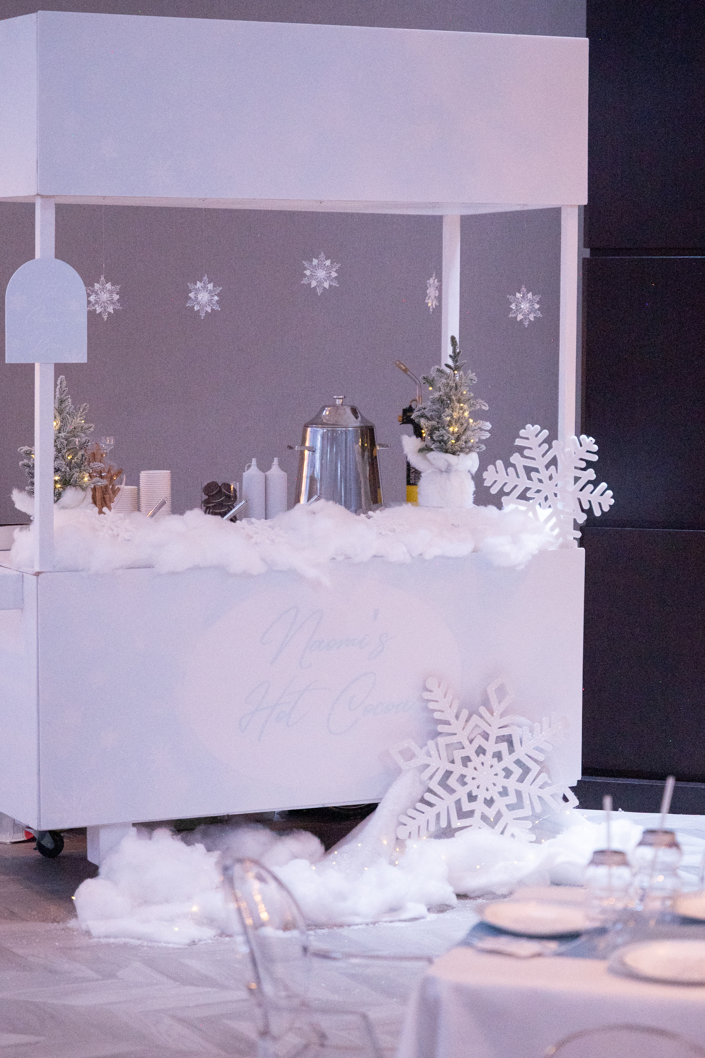 Winter Wonderland Birthday