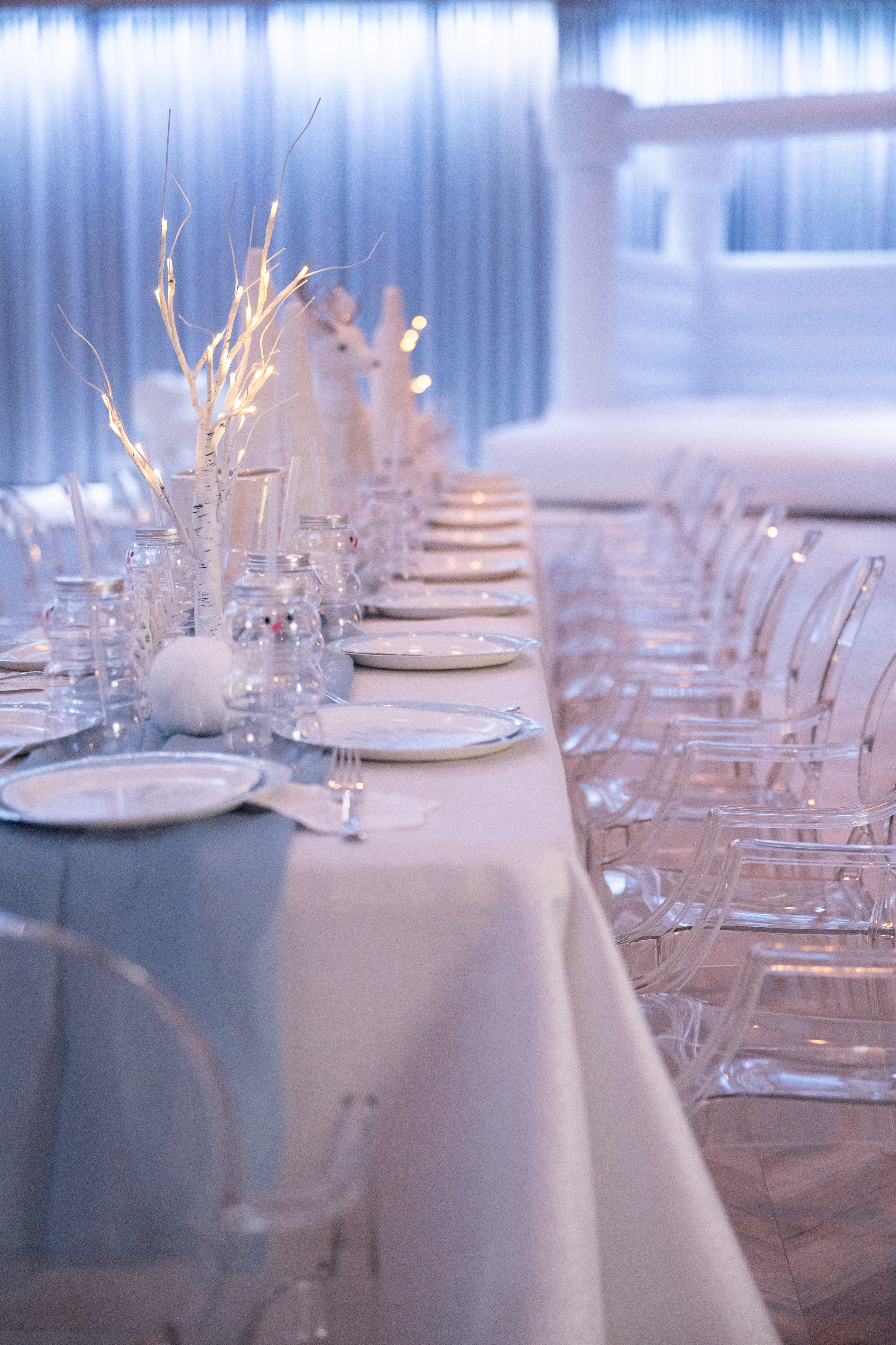 Winter Wonderland Birthday