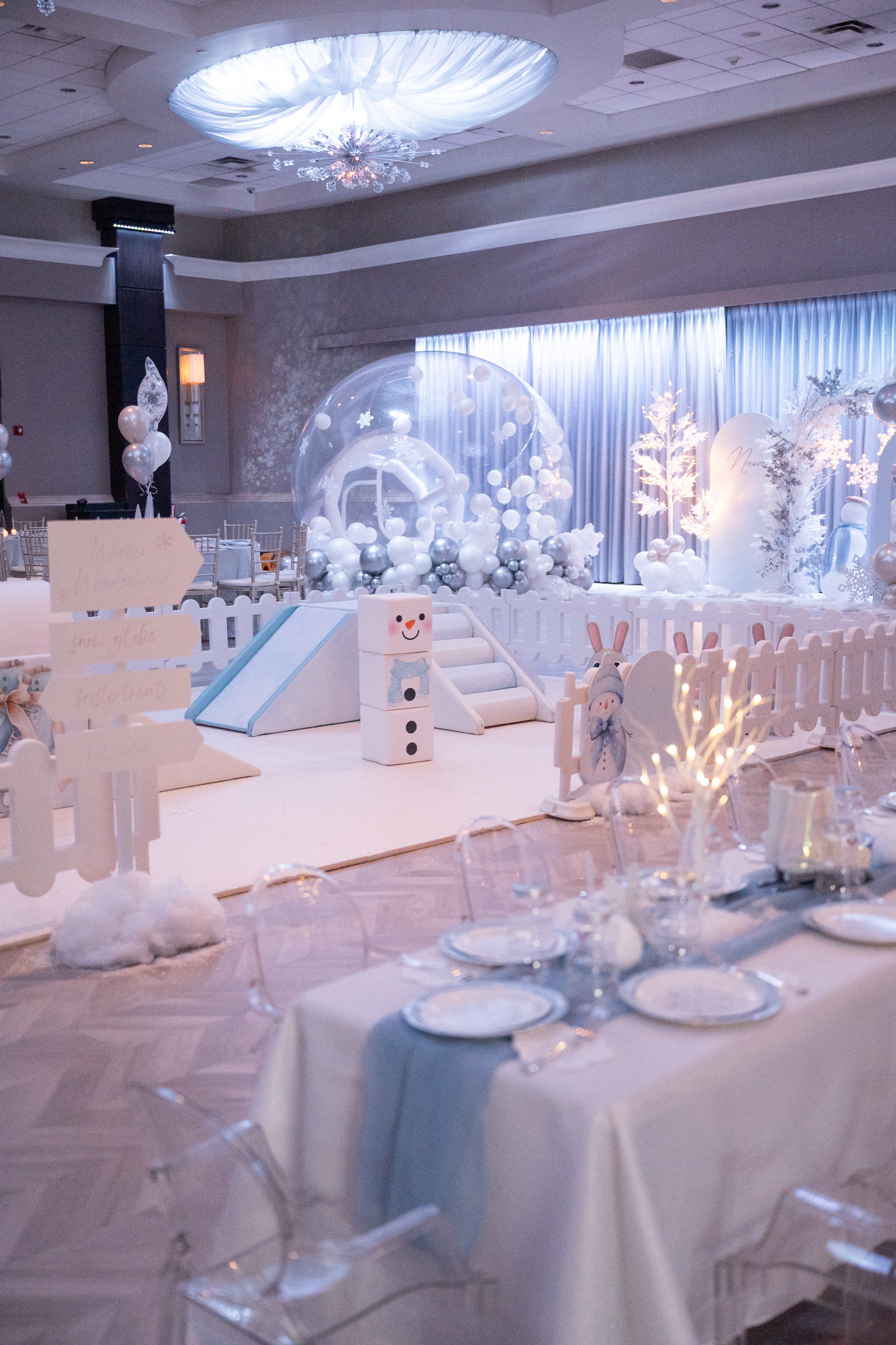 Winter Wonderland Birthday