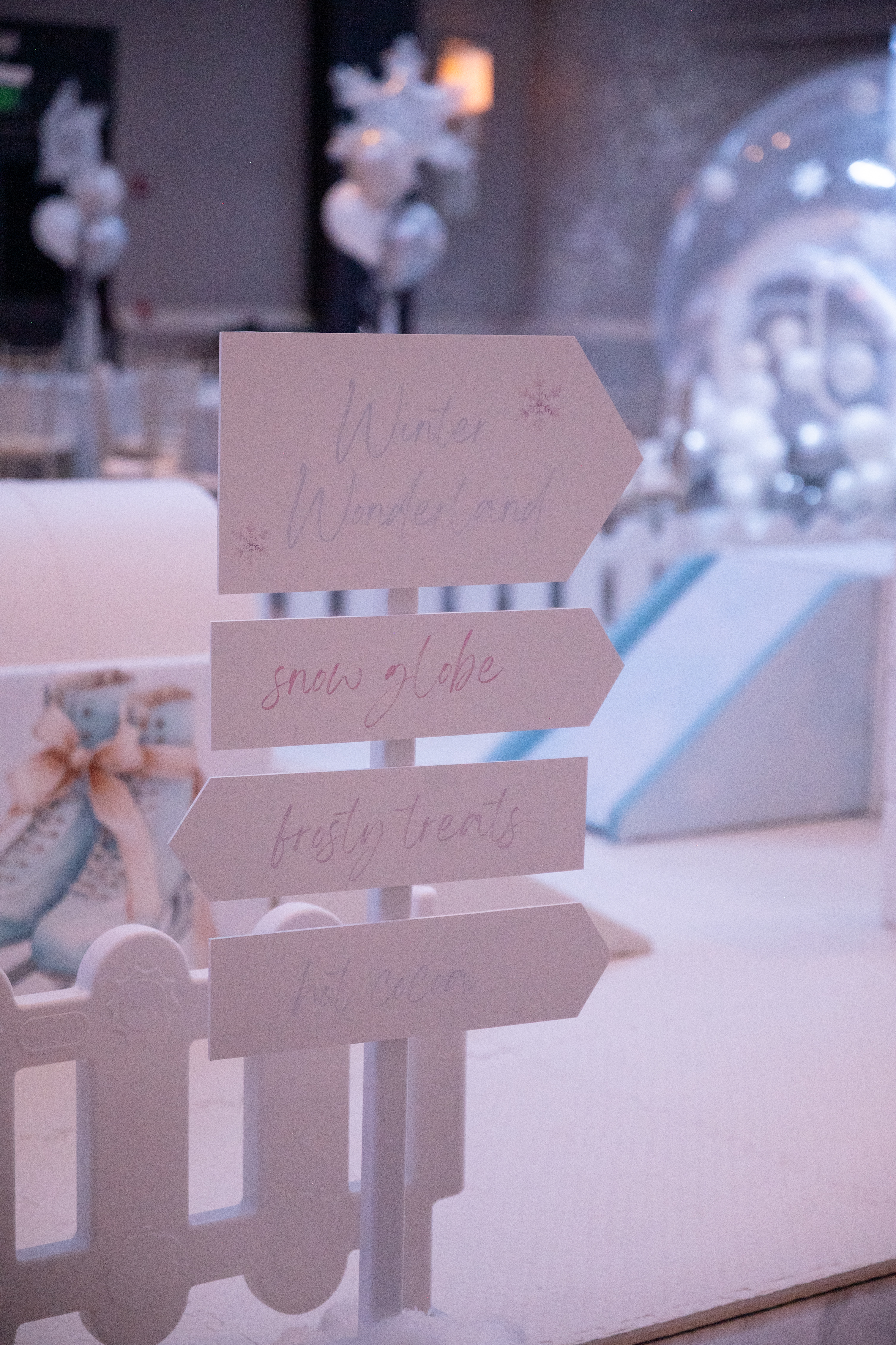 Winter Wonderland Birthday