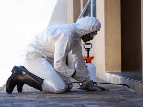 Pest Control