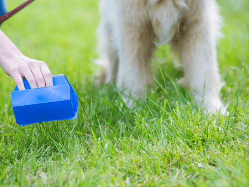 Dog Poop Cleaners