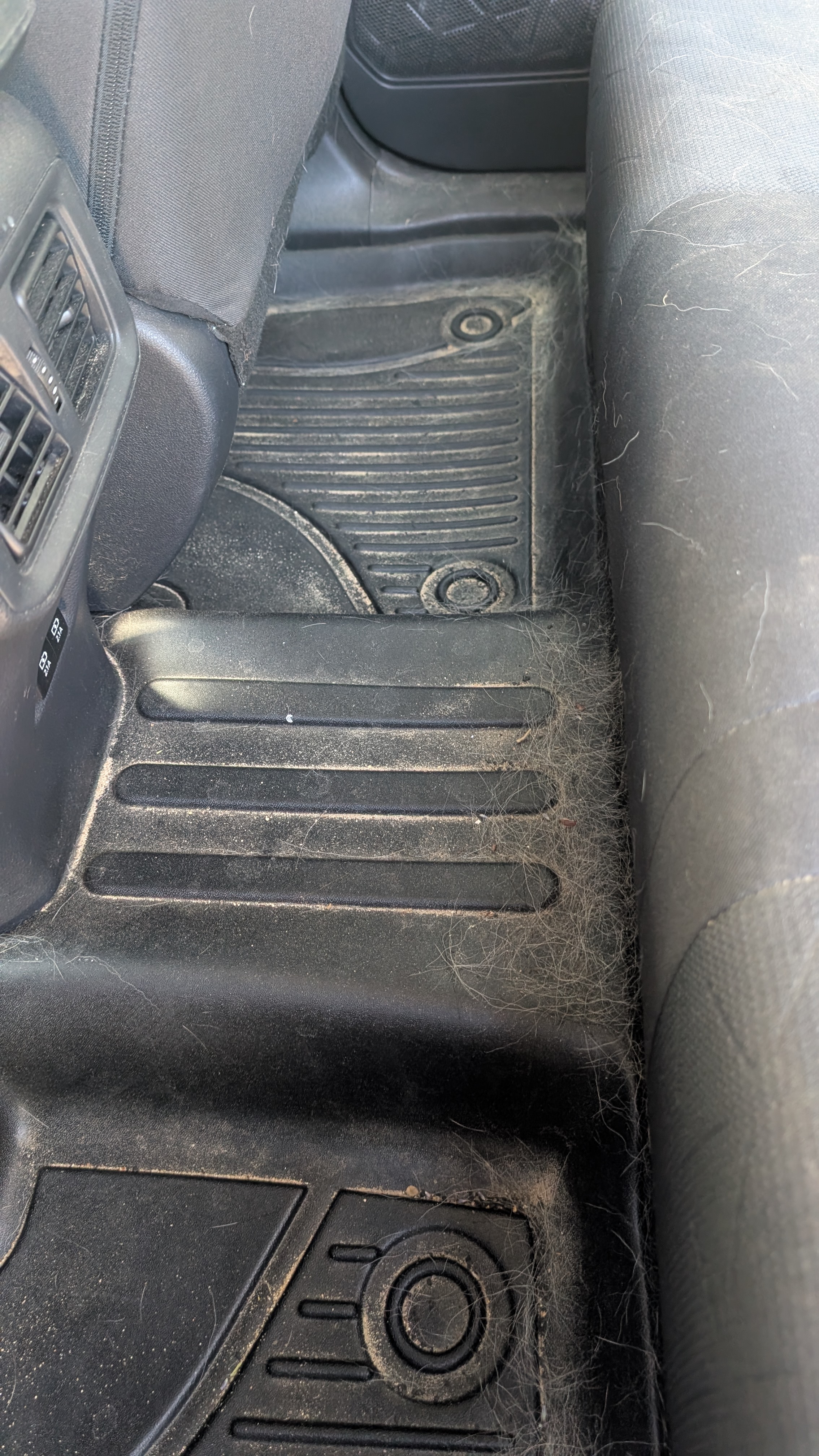 Toyota rear seats before pet hair removal — heavy buildup