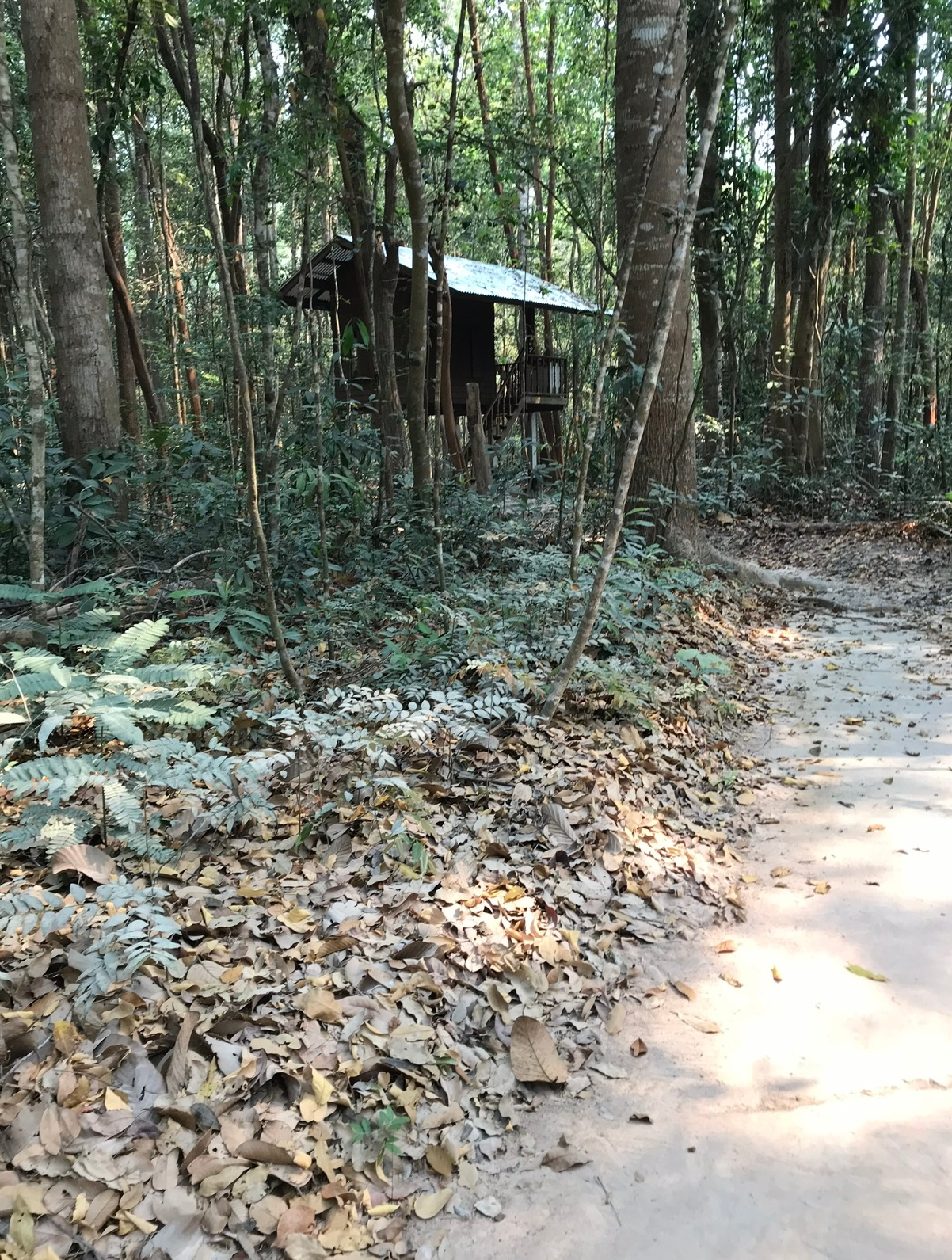 The forest monastery in Thailand where Hassan spent a year