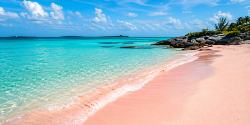 Pink Sands Beach shoreline in bahamas 