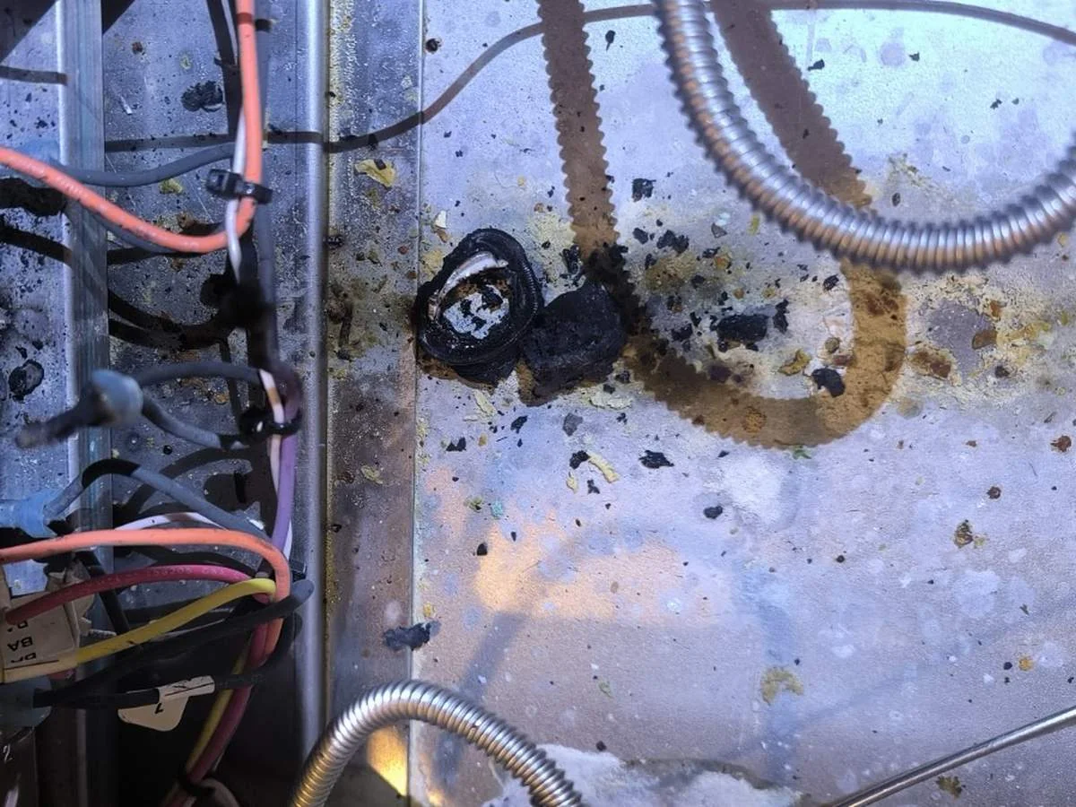 Burned-out convection control circuit &mdash; Wolf GR488 gas range oven, Roswell, GA