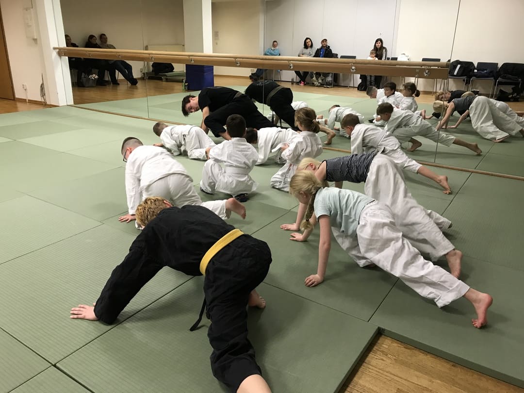 Kampfsport für Kinder Hamburg