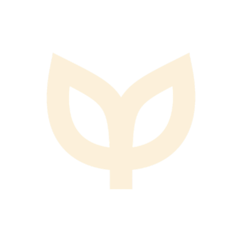 CY Logo