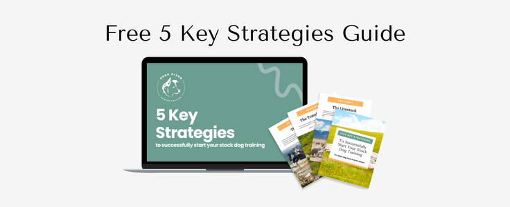 5 Key Strategies