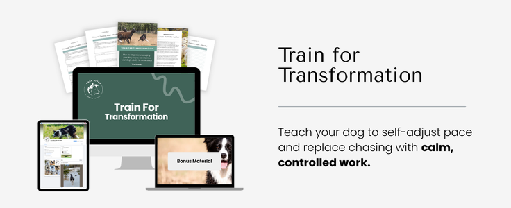 Train for Transformation Train for Transformation