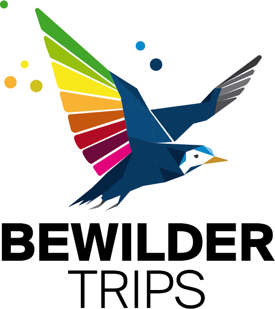 BewilderTrips