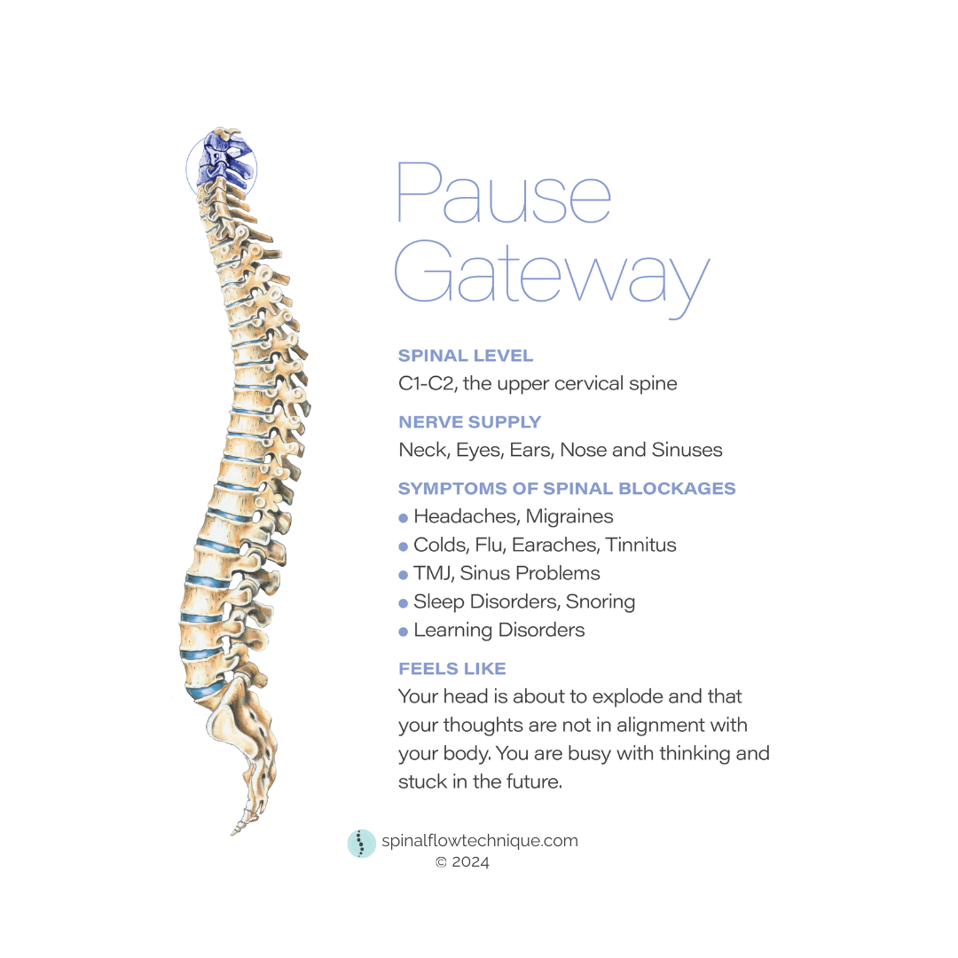 Pause Gateway image