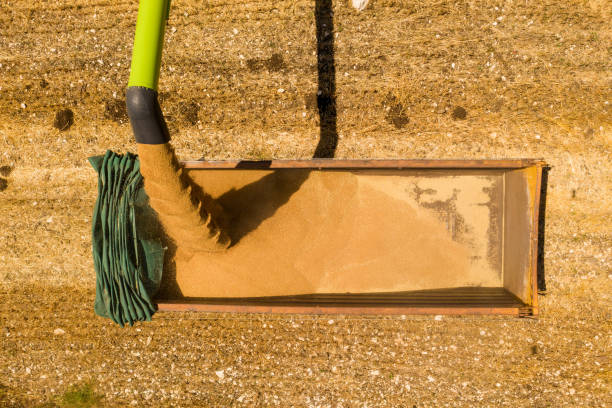 Sand Trap & Interceptor in Mississippi