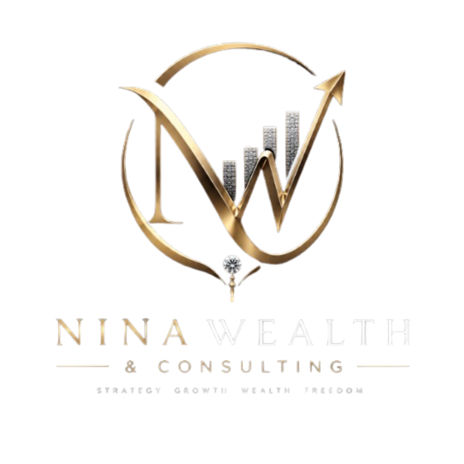 Nina Wealth & Consulting Logo