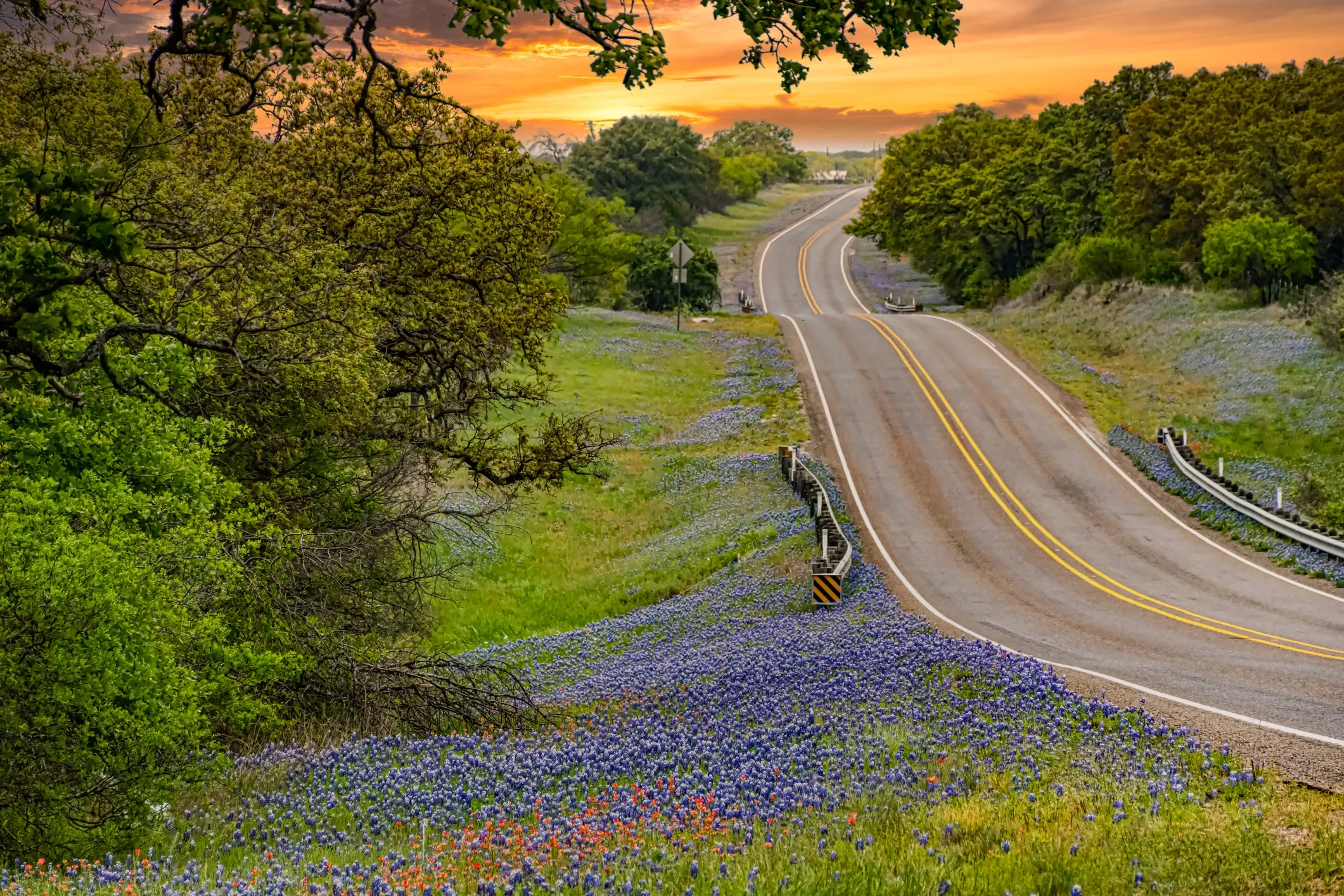 Texas Hill Country Real Estate