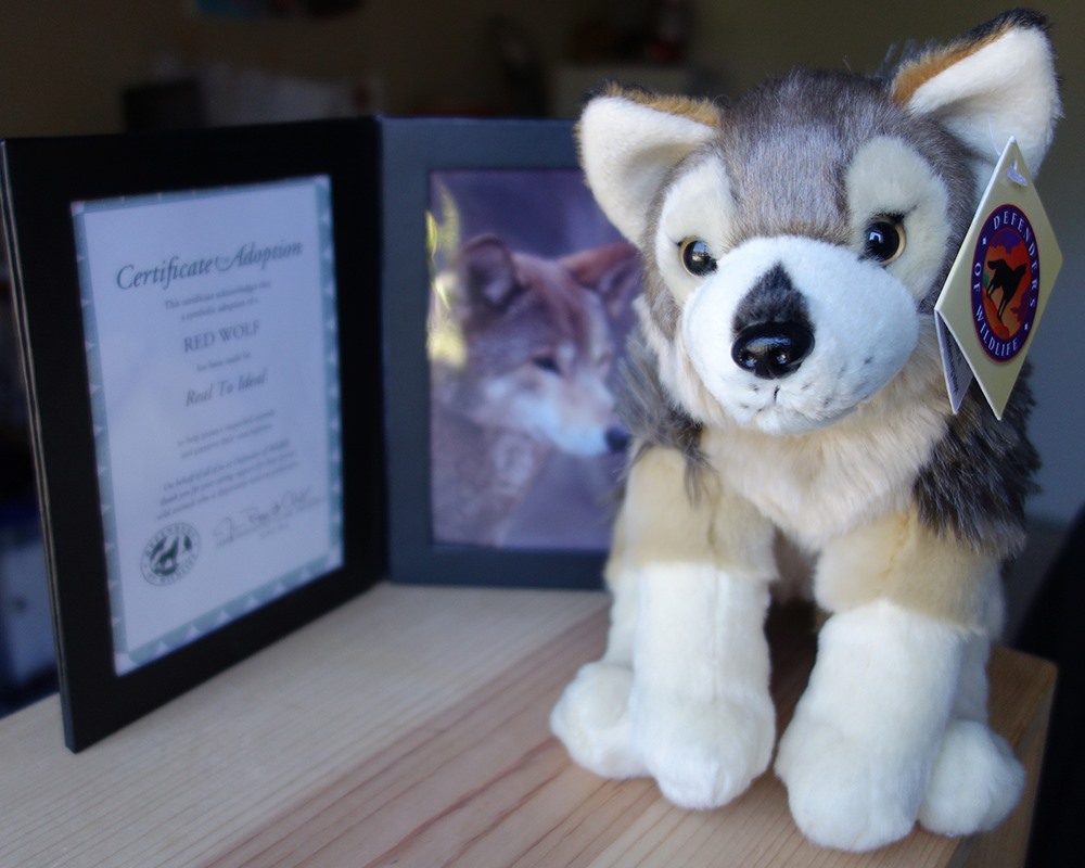Photo of a framed Certificate of Adoption from Defenders of Wildlife showing that this brand has adopted a Red Wolf. Next to the framed certificate is the Defenders of Wildlife red wolf toy.