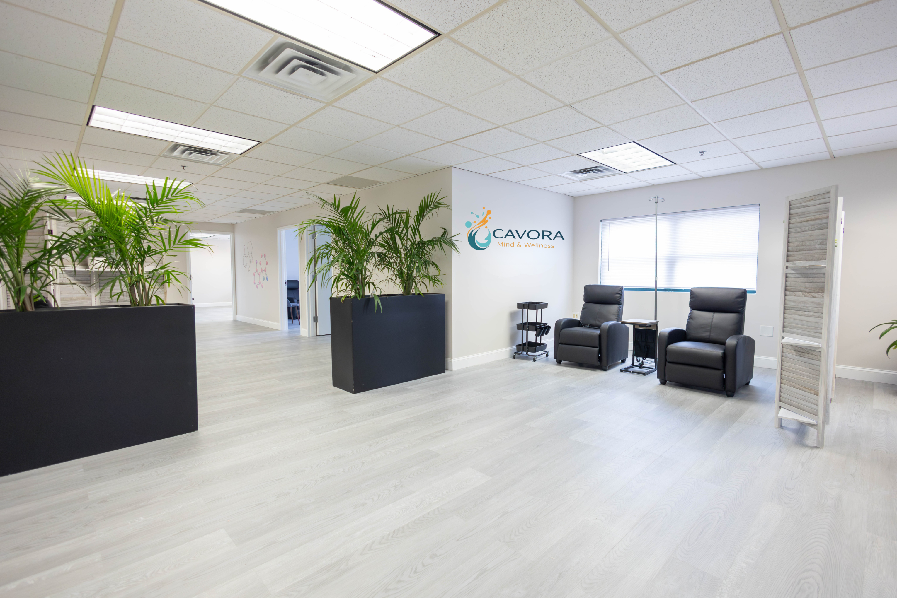 Calm, modern Cavora consultation room