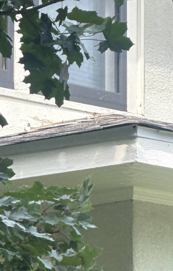 Repair King siding & gutters project photo