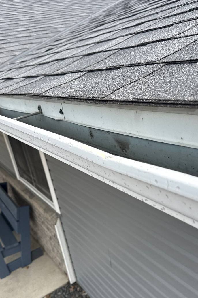 White gutter and blue lap siding under the shingle roof of Valley View Assembly of God in Lake City, MN, April 2026