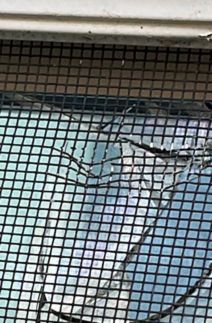 Torn window screen mesh photographed during Repair King's July 2023 hail inspection of a Cimarron home in Lake Elmo, MN