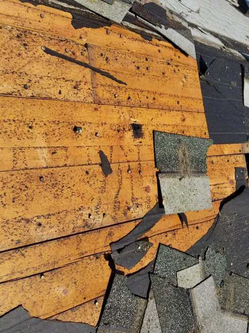 Old wood plank roof decking with gaps and nail holes exposed during the Repair King tear-off at Red Rock Lodge in Newport, MN