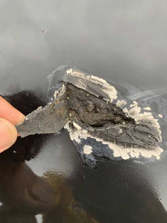 A torn section of rubber membrane on the Eide Chrysler roof in Pine City, July 2019