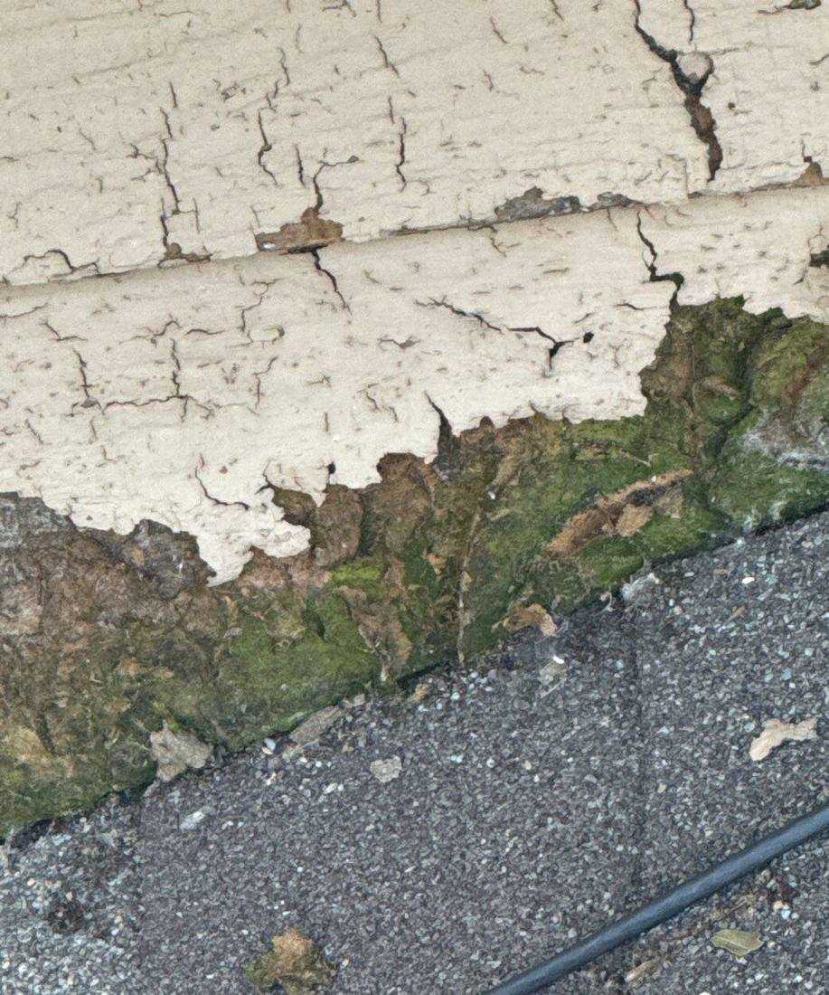 Moss and cracked, rotted fascia board found on an Oakdale roof inspection, July 2024