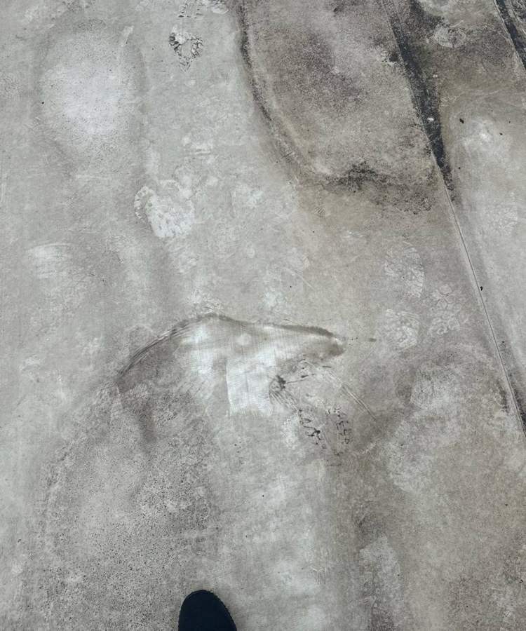 Worn, stained membrane on the old Bloomington Lincoln flat roof in Bloomington, July 2024