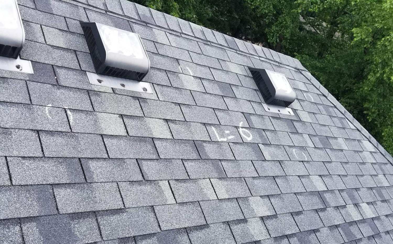 Shingle roof with box vents and mature trees behind it, photographed during a Repair King inspection in Coon Rapids, MN, June 2017
