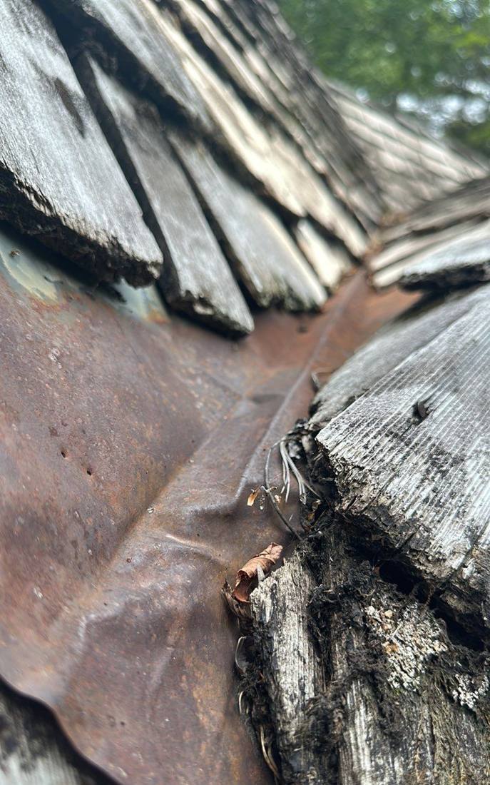 Close-up of a cedar shake valley showing rust staining and moss, Hopkins roof inspection, August 2023