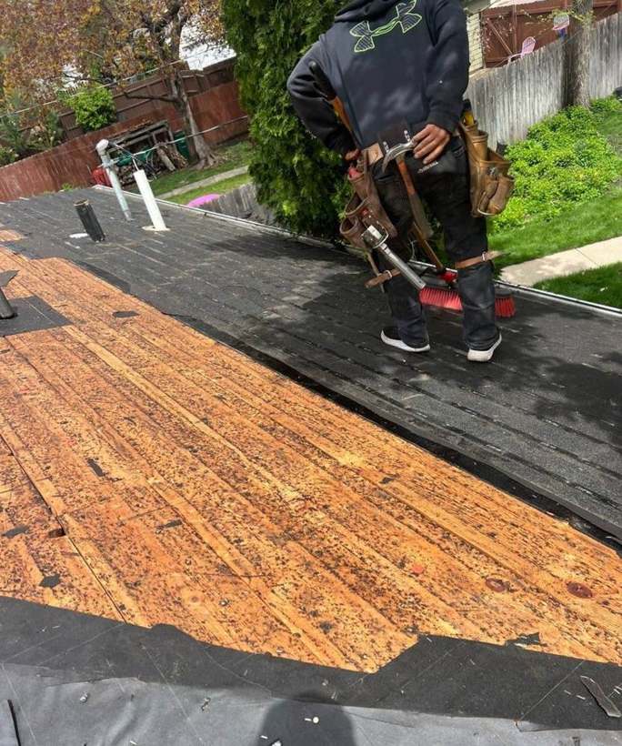 Repair King roofer tearing off shingles to expose the original board decking on a St. Louis Park, MN home, May 2024