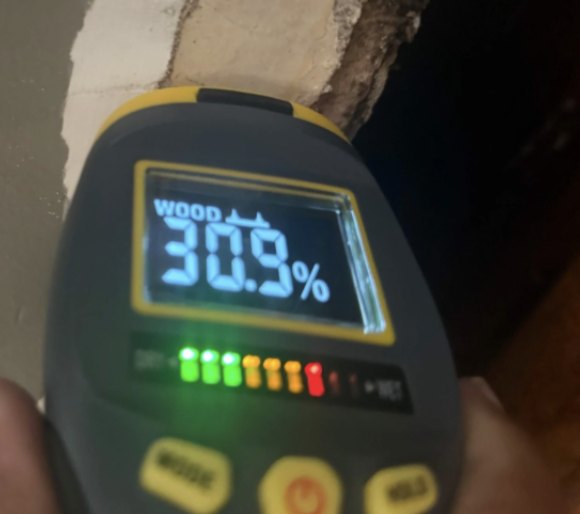 Moisture meter reading taken on a wall during a Repair King leak inspection